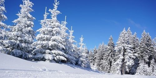 skiing-g4dd0d5c5b_1920.jpg
