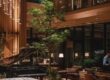 Varmt belyst hotellobby med piano, växter och sittgrupper