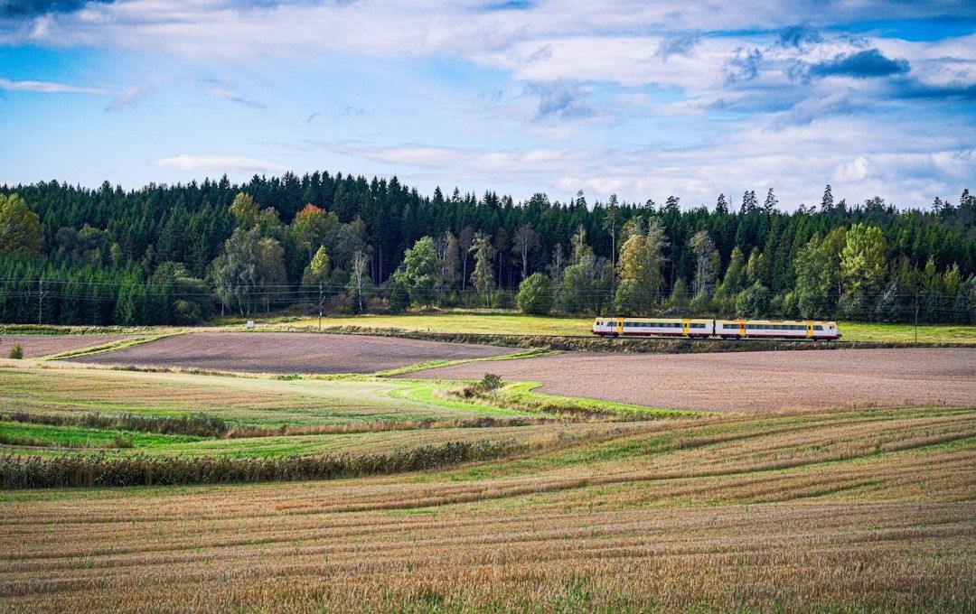 Gulvit tågvagn färdas genom svenska åkrar vid en skogsridå